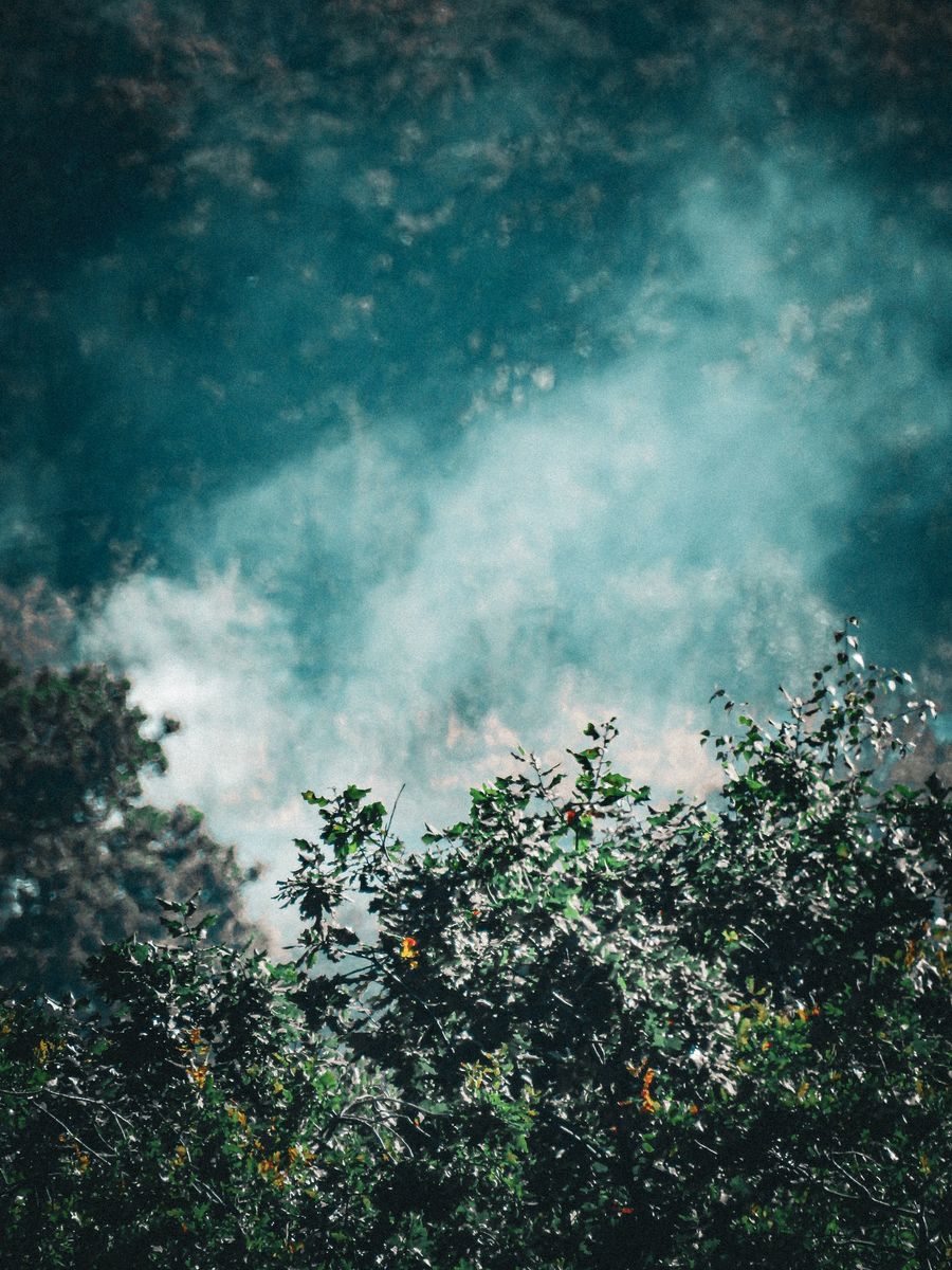vape wire