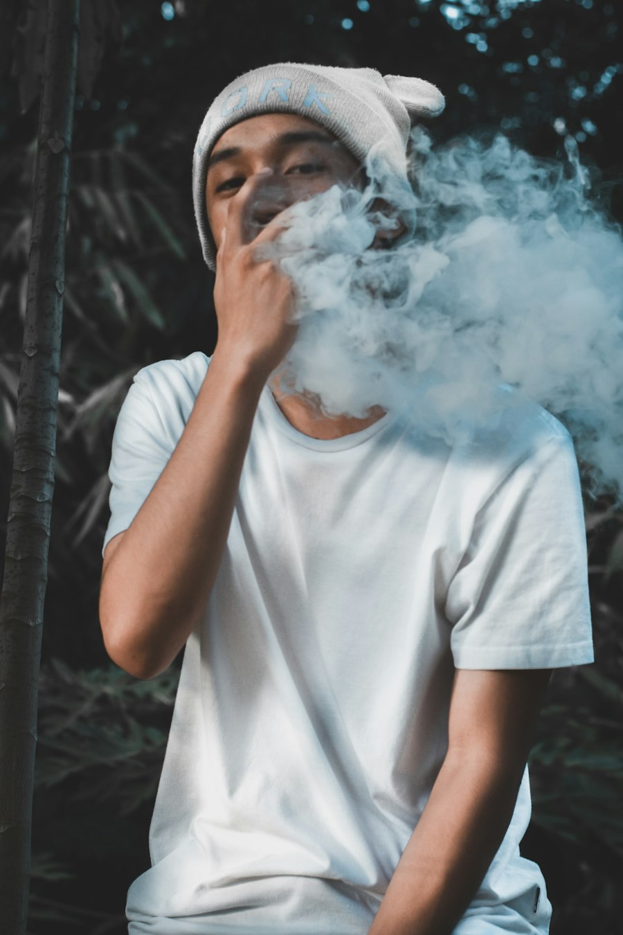 vape charger