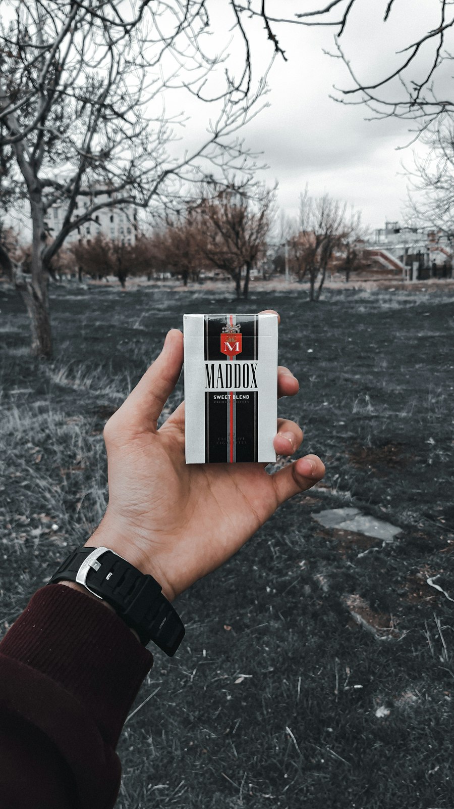 vape pen