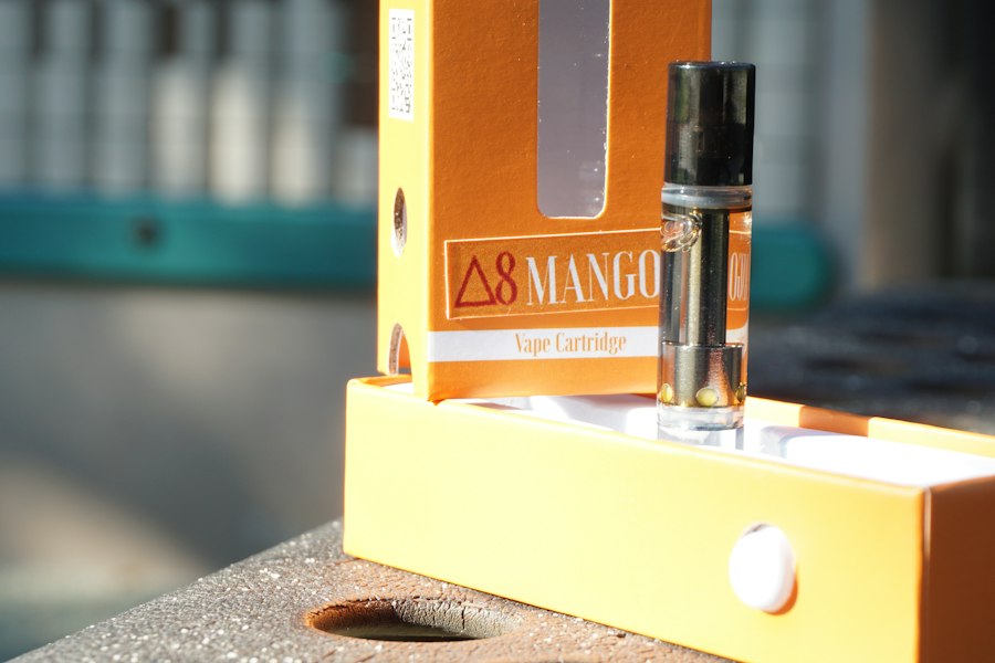 vape starter kit